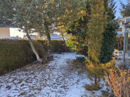 Foto - 6 Zimmer Doppelhaushälfte zur Miete in Wangen