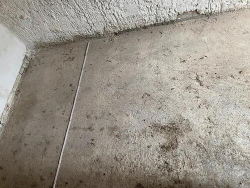 Foto - andere in Oebisfelde-Weferlingen zur Miete