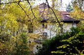 Foto - Einfamilienhaus zur Miete in Neupetershain