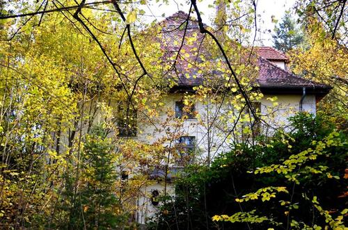 Foto - Einfamilienhaus zur Miete in Neupetershain