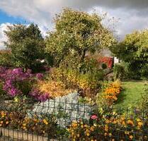 Liebevoll gepflegter Kleingarten - Leipzig Südost