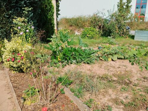 Foto - Grundst&uuml;ck in Nordhausen zur Miete