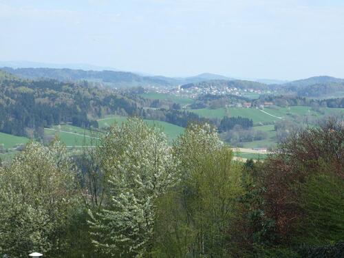 Foto - 2 Zimmer Terrassenwohnung zur Miete in Perlesreut