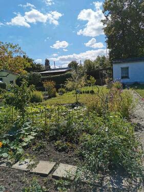 Foto - Garten in Lützen abzugeben - 350,00 EUR Kaltmiete, ca.  0,00 m²