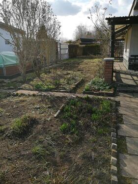 Foto - Grundst&uuml;ck zur Miete in Magdeburg