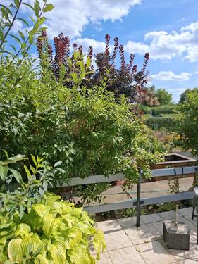 Foto - Pachtgarten - 3.200,00 EUR Kaltmiete, ca.  0,00 m²