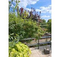 Pachtgarten - 3.500,00 EUR Kaltmiete, ca.  0,00 m² in Dessau-Roßlau (PLZ: 06846)