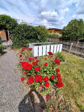 Foto - Grundstück zur Miete in Limbach-Oberfrohna