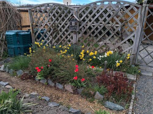 Foto - Grundstück in Limbach-Oberfrohna zur Miete