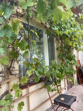 Foto - Grundst&uuml;ck in Pölzig