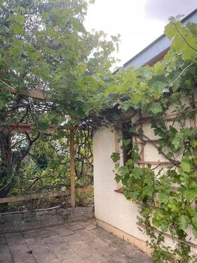 Foto - Grundst&uuml;ck in Pölzig zur Miete