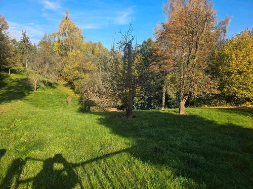 Foto - 4000m2 Gartenland in Zwickau ideal für Pferde, Bienen, Kleintiere