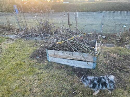 Foto - Grundst&uuml;ck in Ilsenburg (Harz) zur Miete