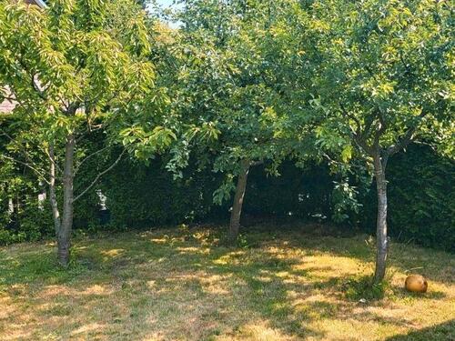 Foto - Einfamilienhaus mit Wasserschaden- Sackgassenlage in Pinneberg