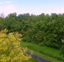 Wohlfühlen in heller, gemütlicher 1Z Wohnung mit EBK und Balkon - Würzburg Heuchelhof