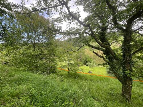 Foto - Grundstück in Weinstadt