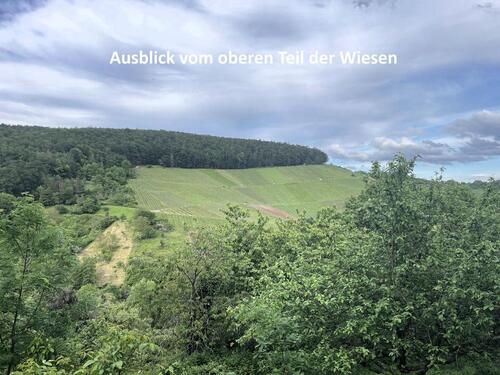 Foto - Grundstück in Weinstadt zur Miete