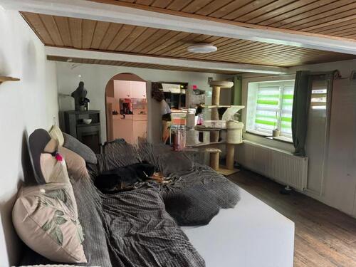 Foto - 3 Zimmer Erdgeschoßwohnung in Süderlügum