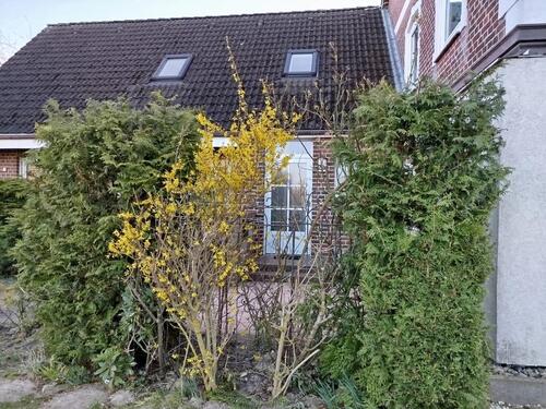 Foto - Erdgeschoßwohnung in Dahme zur Miete