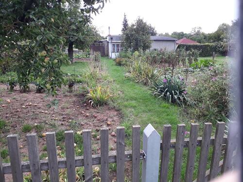 Foto - Kleingarten mit Laube - 40,00 EUR Kaltmiete, ca.  0,00 m²