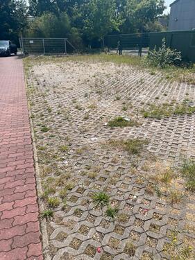 Foto - andere in Goch