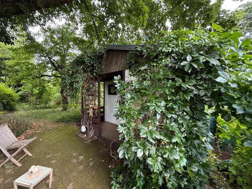 Foto - Pachtgarten - Schöne Allee - Gotha