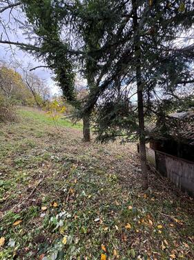 Foto - Grundstück in Altbach zur Miete