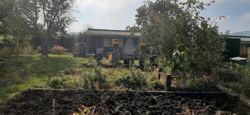 Foto - Grundst&uuml;ck zur Miete in Arnstadt