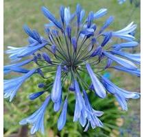 Wohnung mit 3 Zimmer in Mitten der Stadt, im Grünen☺️ - Finsterwalde