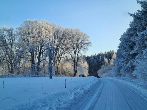 Foto - Ferienwohnung am Rennsteig Thüringer Wald Langlauf Ski