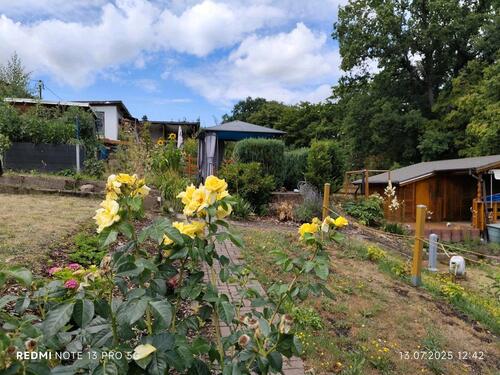 Foto - Grundst&uuml;ck in Freital zur Miete