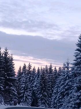 Foto - Ferienwohnung in 98746 Goldisthal