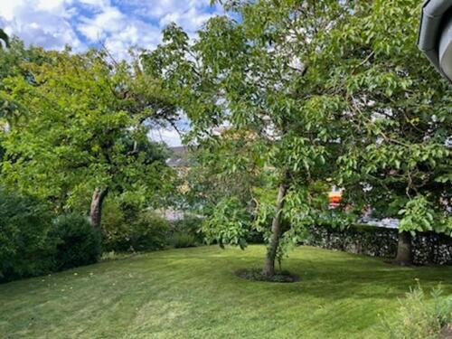 Foto - 2 Zimmer Dachgeschoßwohnung zur Miete in Kiel