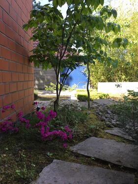 Foto - Einfamilienhaus in Delbrück zum Kaufen