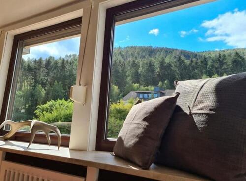 Foto - Ferienwohnung Goslar am Waldrand