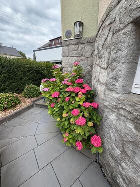 Foto - 13 Zimmer Einfamilienhaus zum Kaufen in Ötzingen