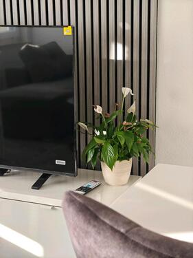 Foto - 1-Zimmer-Wohnung zu vermieten - 750,00 EUR Kaltmiete,