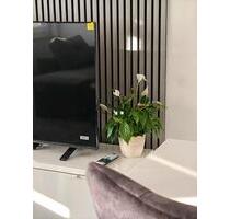 1-Zimmer-Wohnung zu vermieten - 750,00 EUR Kaltmiete, in Waiblingen (PLZ: 71334) Beinstein