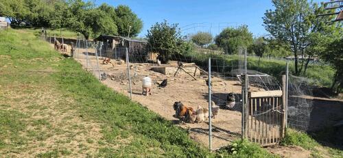 Foto - Einfamilienhaus in Gries zum Kaufen