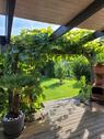 Foto - Reiheneckhaus mit großem Garten und Garage