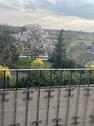 Foto - 4-Zi.-Wohnung mit EBK, Balkon,Garten, Stellplatz in Braunschweig