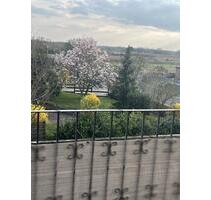 4-Zi.-Wohnung mit EBK, Balkon,Garten, Stellplatz in Braunschweig