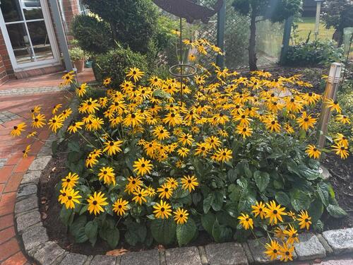 Foto - Einfamilienhaus mit Teilkeller - 455.000,00 EUR Kaufpreis,