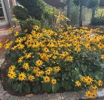 Einfamilienhaus mit Teilkeller - 455.000,00 EUR Kaufpreis, in Harpstedt (PLZ: 27243)