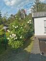 Foto - Einfamilienhaus in Spremberg zum Kaufen