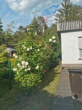 Foto - Einfamilienhaus in Spremberg zum Kaufen