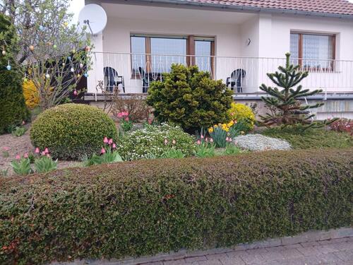 Foto - 6 Zimmer Einfamilienhaus zum Kaufen in Marsberg