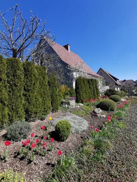 Foto - Einfamilienhaus in Marsberg zum Kaufen