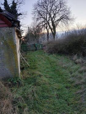 Foto - Einfamilienhaus in Löwenberger Land zum Kaufen