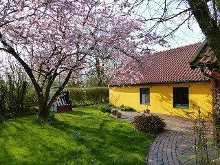 Foto - Einfamilienhaus in Wangerland zur Miete